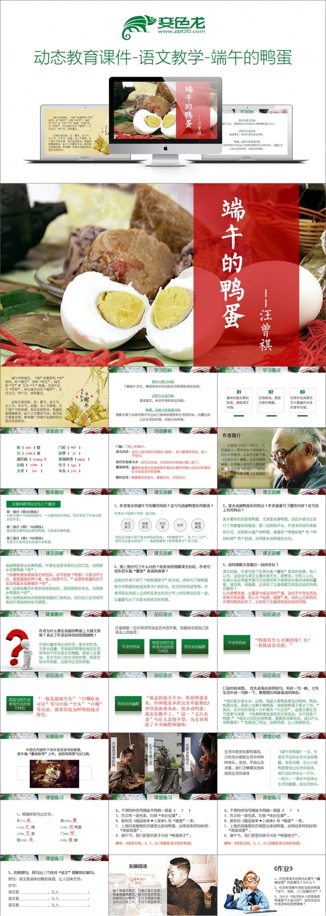 动态教育课件-语文教学-端午的鸭蛋