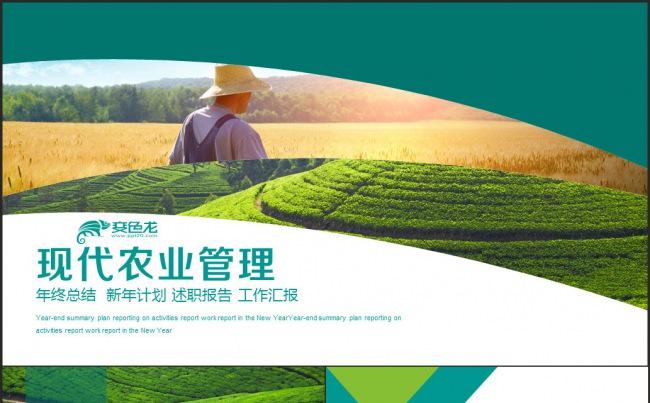 农业科技 农业招商 工作总结 研究报告缩略图