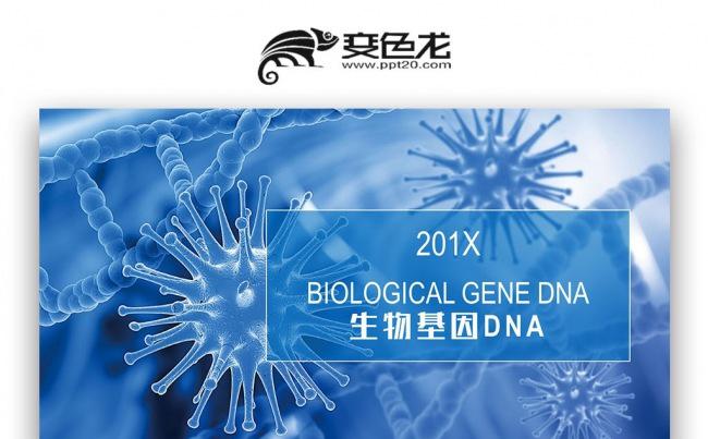 【双鱼座】生物学术研究基因DNA医学研究PPT模板缩略图