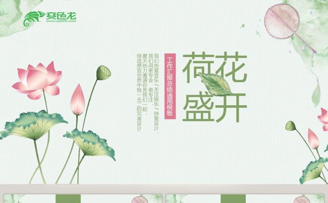 极简中国风荷韵缩略图