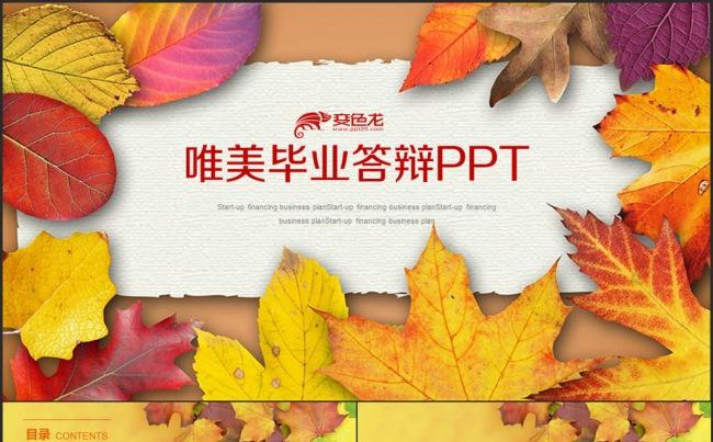 唯美毕业答辩 教育 学术报告 课件总结缩略图