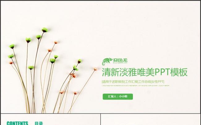 清新淡雅唯美工作总结计划述职缩略图