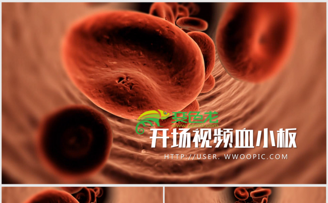 开场视频片医学医疗细胞组织ppt动画模板缩略图
