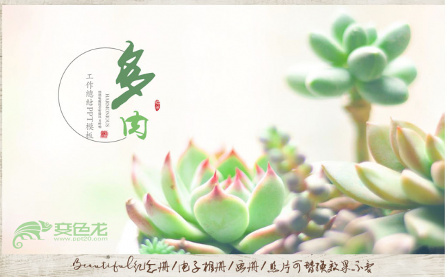 精美多肉植物ppt动态模板缩略图