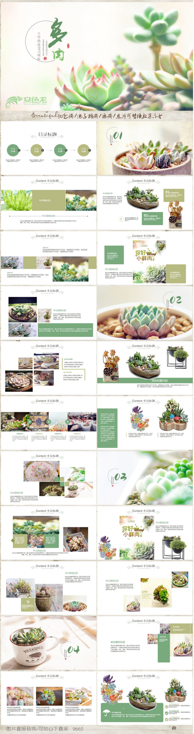 精美多肉植物ppt动态模板