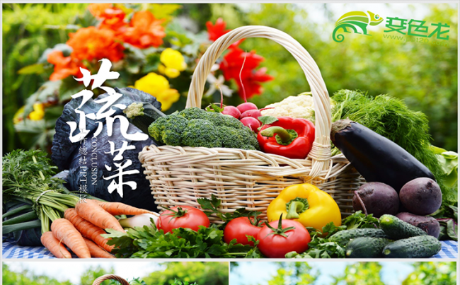 绿色农业农产品种植蔬菜产品宣传PPT模板缩略图