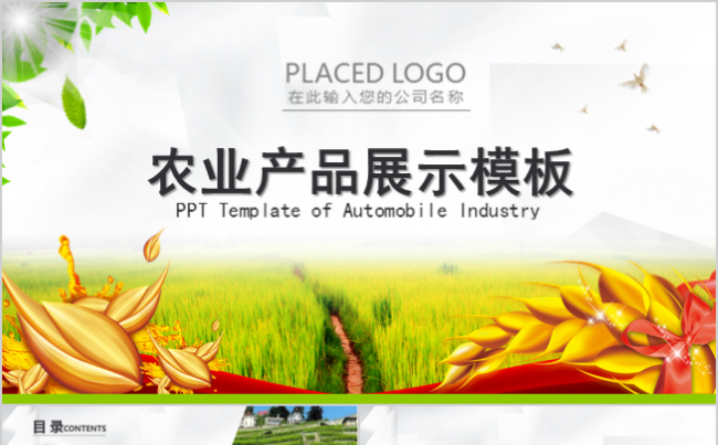 绿色生态农业水果蔬菜农产品ppt模板缩略图