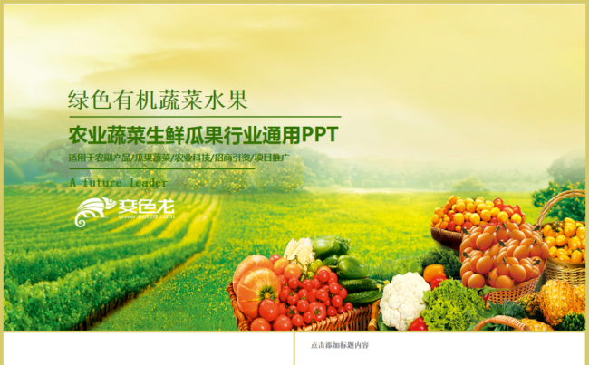 绿色有机天然农业蔬菜水果生鲜ppt模板缩略图