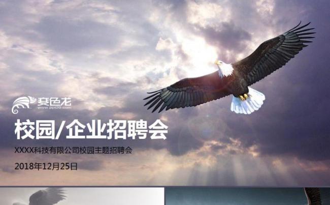 校园企业招聘会公司宣传企业简介岗位求职竞聘ppt模板缩略图