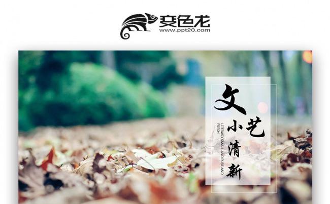 【壹德】文艺小清新唯美工作汇报总结通用 个人文艺相册PPT缩略图