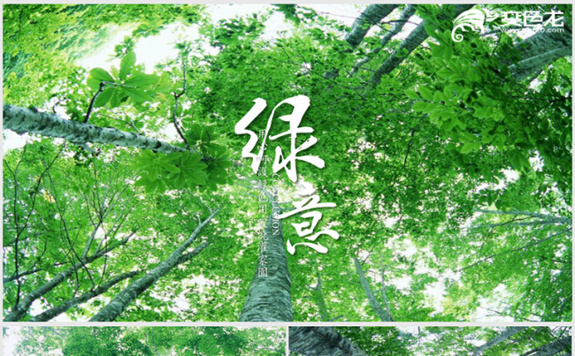 保护生态环境绿色树林ppt动态模板缩略图