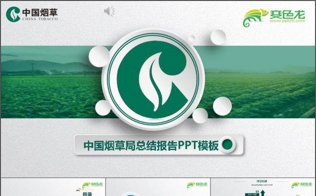 烟草局总结报告PPT缩略图