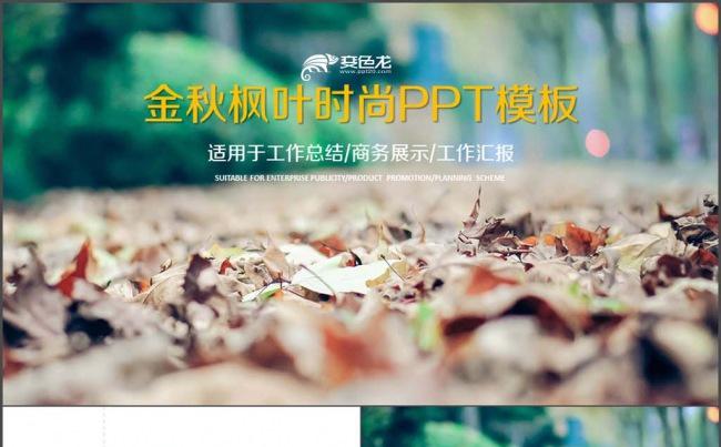 金秋枫叶唯美 创业 年度工作总结 汇报缩略图
