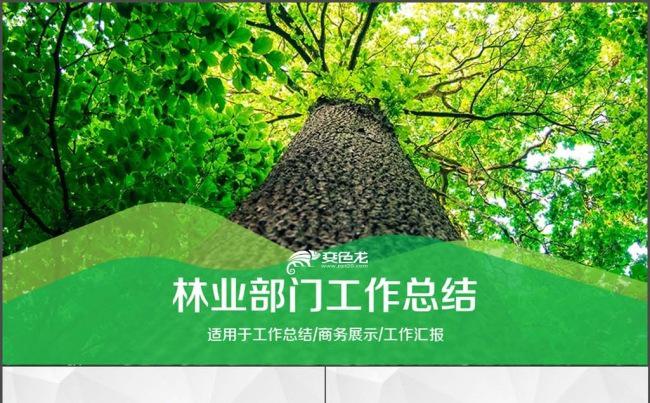 林业 林业局 工作总结 汇报 述职报告缩略图