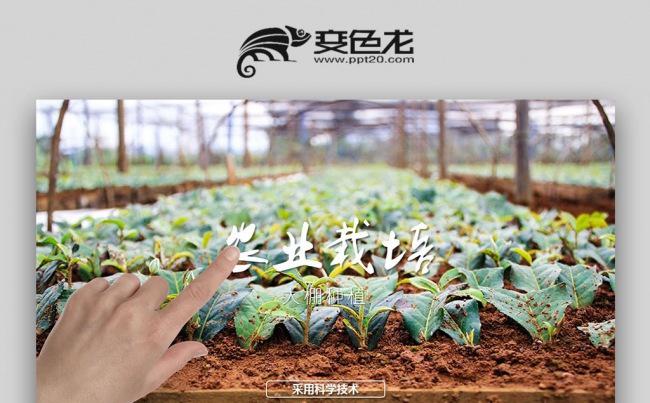 农业种植栽培技术培训动态ppt模板缩略图