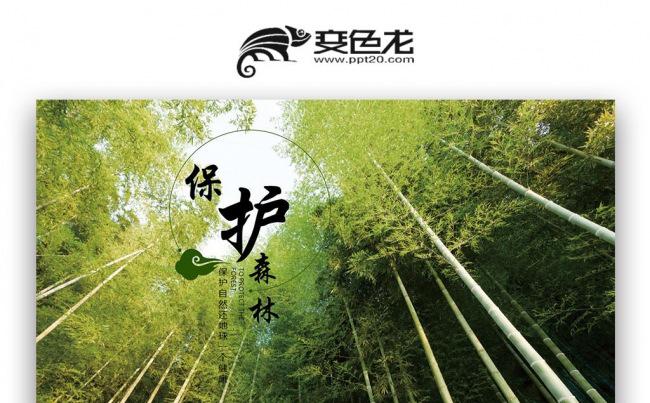 原始森林 清新林业管理生态自然保护森林公园园林PPT缩略图