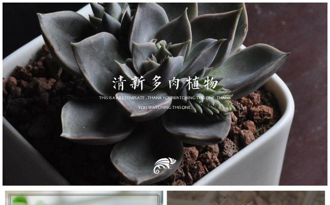 小女孩出品▪清新画报风多肉植物 自然风景总结汇报演讲旅行通用缩略图