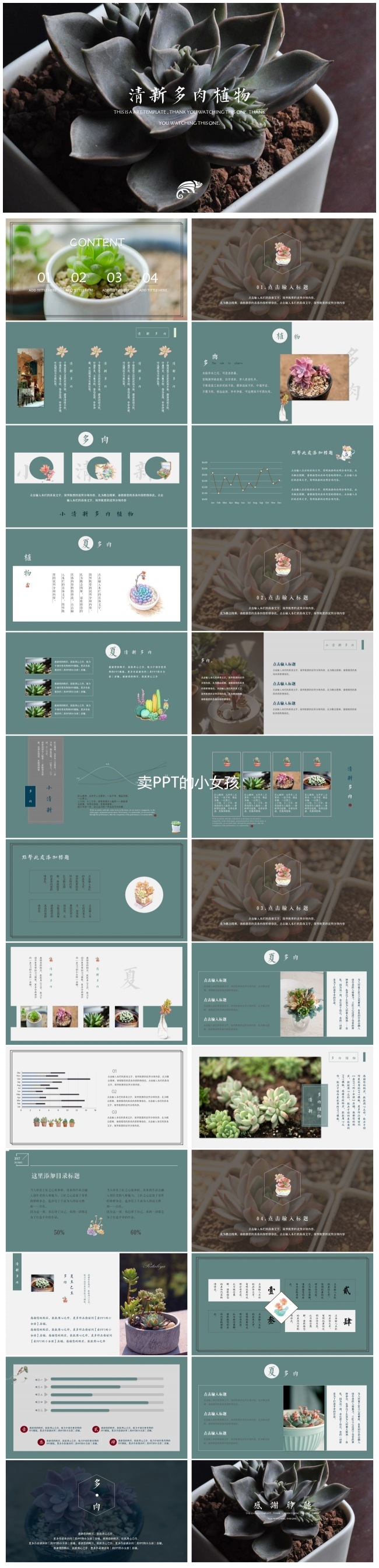 小女孩出品▪清新画报风多肉植物 自然风景总结汇报演讲旅行通用