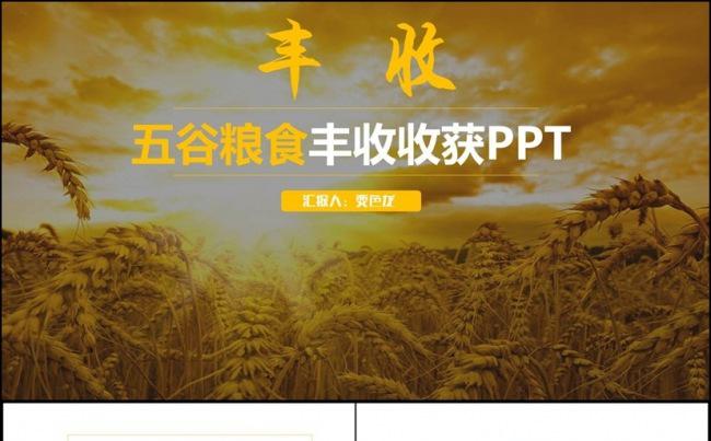 【丰收】金色动感五谷粮食农产品新农村建设种植招商PPT缩略图