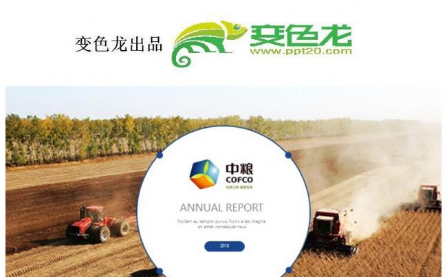 2017蓝色大气 中粮集团年中总结计划缩略图
