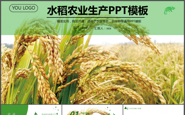 水稻农业生产农场水稻种植动态PPT模板缩略图