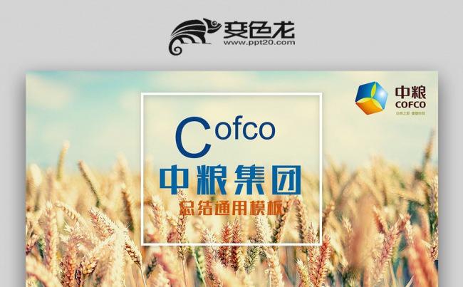 中粮集团年中总结工作汇报通用PPT模板缩略图