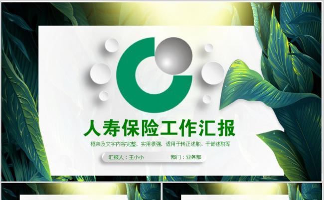 清新中国人寿保险公司人寿保险人保PPT缩略图