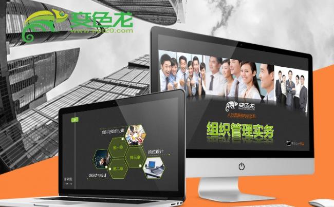 2017绿黑人力资源培训组织管理实务ppt课件缩略图