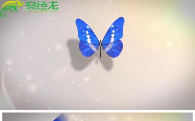 蝴蝶飞舞揭示企业logo标志片头动态PPT模板缩略图