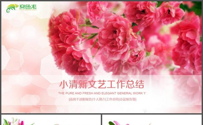 红色小清新花儿文艺工作总结PPT模板缩略图