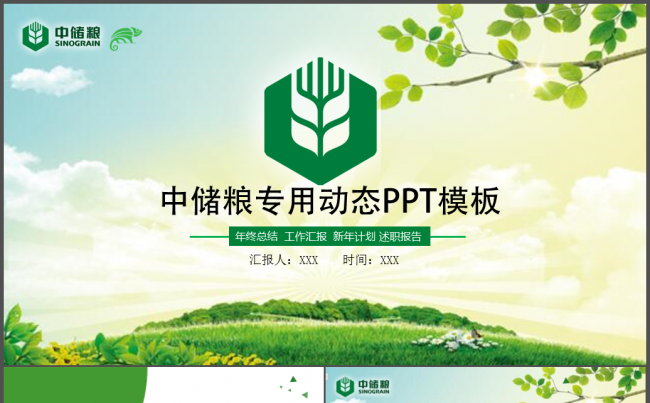 大气中国储备粮管理总公司中储粮ppt缩略图