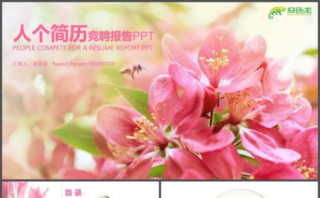 小清新唯美花儿个人简历PPT模板缩略图