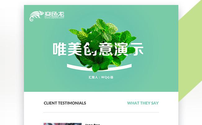 唯美创意清新工作汇报工作计划PPT缩略图