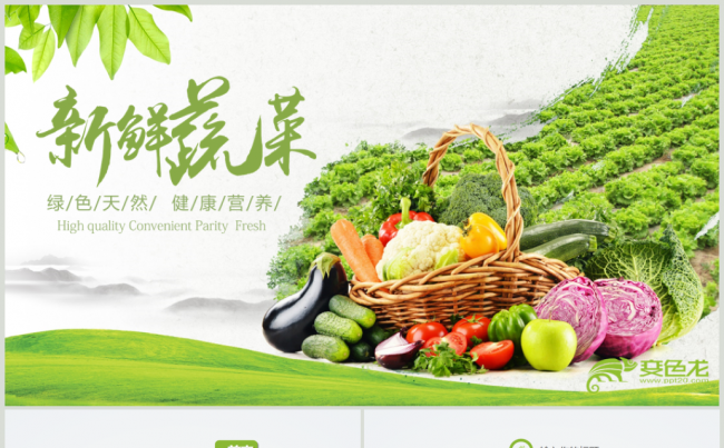 绿色有机天然农业蔬菜水果健康养生ppt模板缩略图