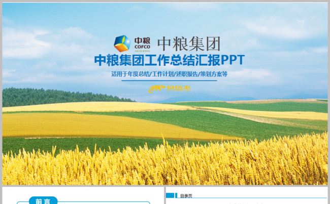 中粮集团中粮集团有限公司工作总结汇报ppt缩略图