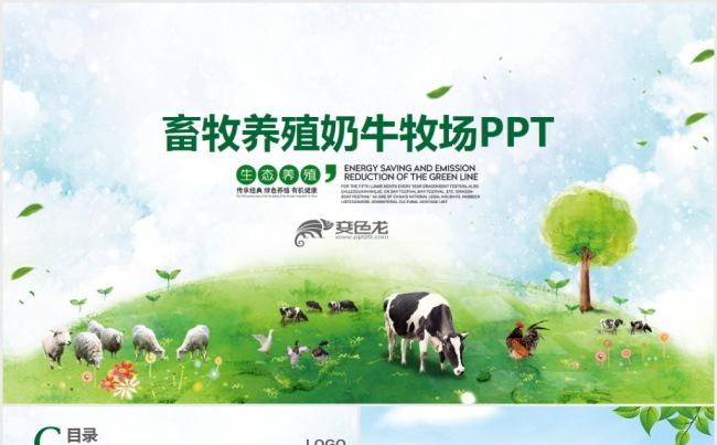 绿色畜牧业养殖业奶牛农业农场牧场PPT模板缩略图