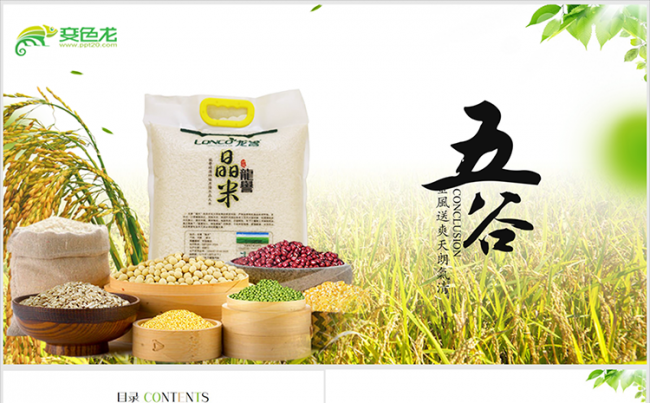 有机农业五谷杂粮粮油店 丰收 大豆 小麦 玉米 大米ppt缩略图
