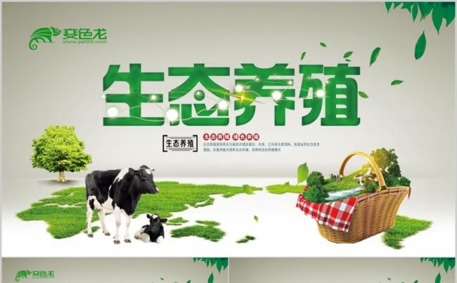 畜牧业养殖业牧场乳制品牛奶新农村养殖场有机畜牧牧民放牧牧羊缩略图