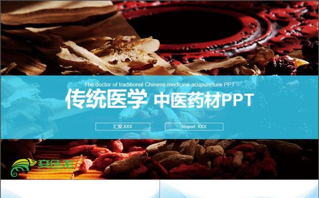传统中医学中草药PPT缩略图