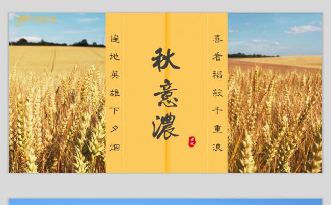 最美画册之秋意浓|文艺古典风|可一键换图|附教程缩略图