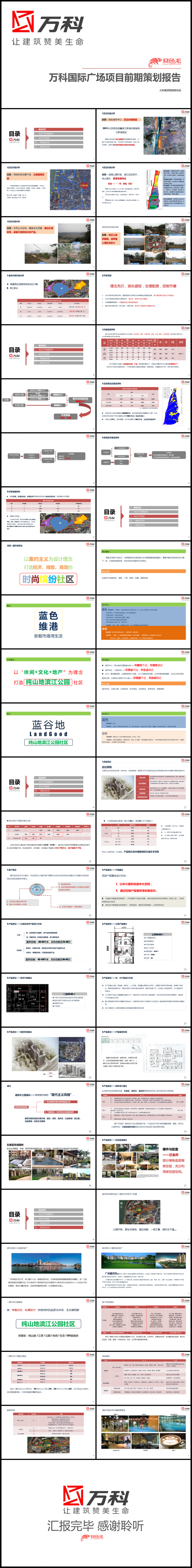 万科恒大地产房地产营销策划方案营销执行方案前期定位和发展报告