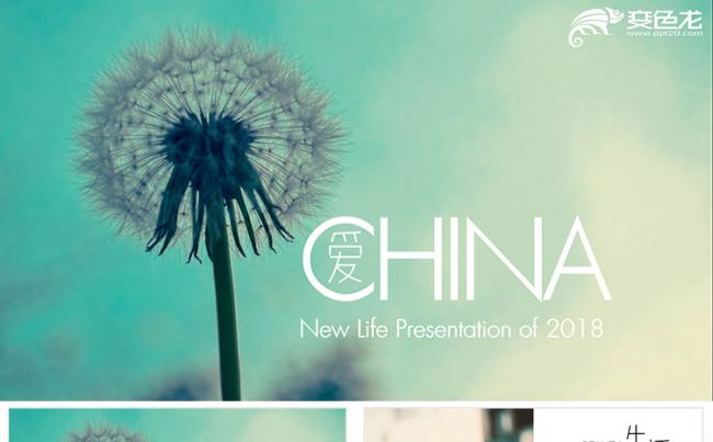 【狂人作品】大气简约创意唯美多图片展示PPT模板缩略图