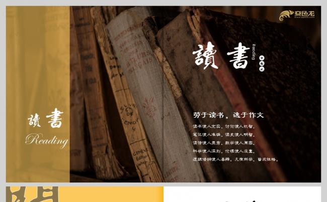 【文子演示】最美画册之阅读|复古文艺风|古典|古雅|附教程缩略图