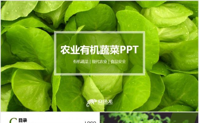 绿色天然无公害农产品有机蔬菜PPT模板缩略图