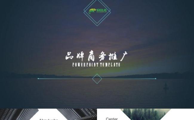 欧美时尚品牌介绍团队介绍产品宣传会议策划总结季度报告ppt缩略图