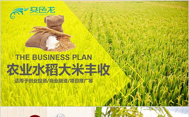 丰收季稻谷粮食农民农业金秋丰收动态ppt缩略图