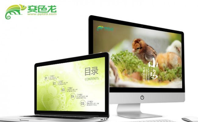 【飞哥PPT】可爱2017鸡年教育工作总结养殖基地PPT模板缩略图