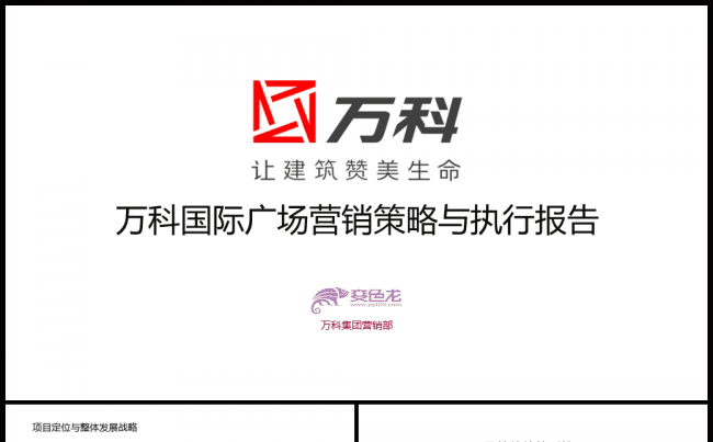 万科国际广场房地产内容详细行业营销策略与执行方案缩略图