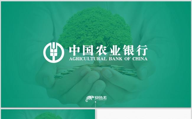 【dai】中国农业银行农行工作汇报2017工作计划年度总结缩略图