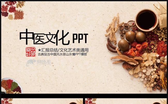 统中医学中医院中医文化中草药PPT模板缩略图
